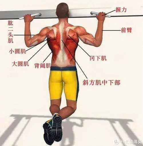 <strong>室内健身三合一器材有哪些</strong>